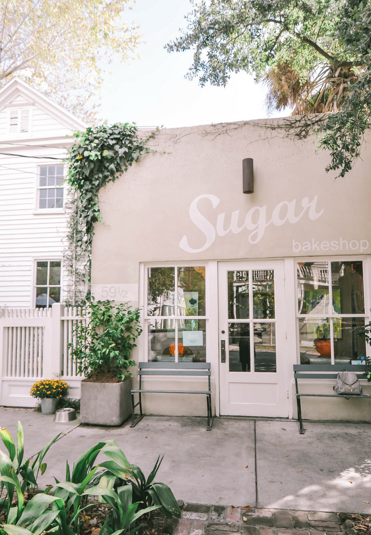 charleston travel guide