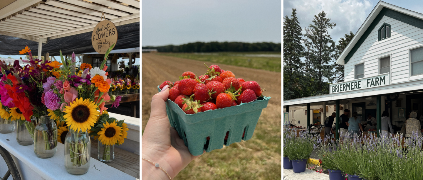 Things to do on the North Fork Long Island