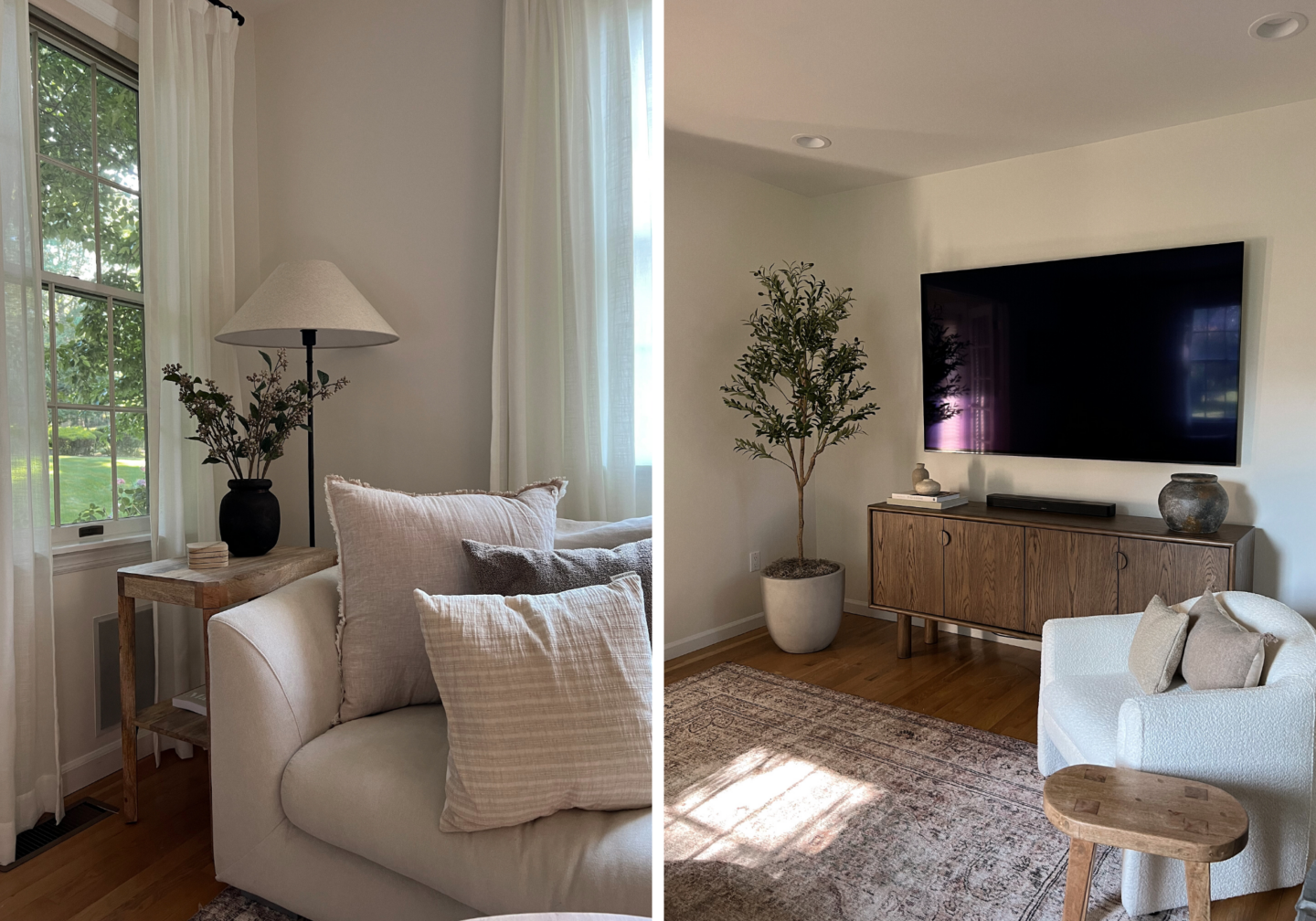 Organic Modern Living Room