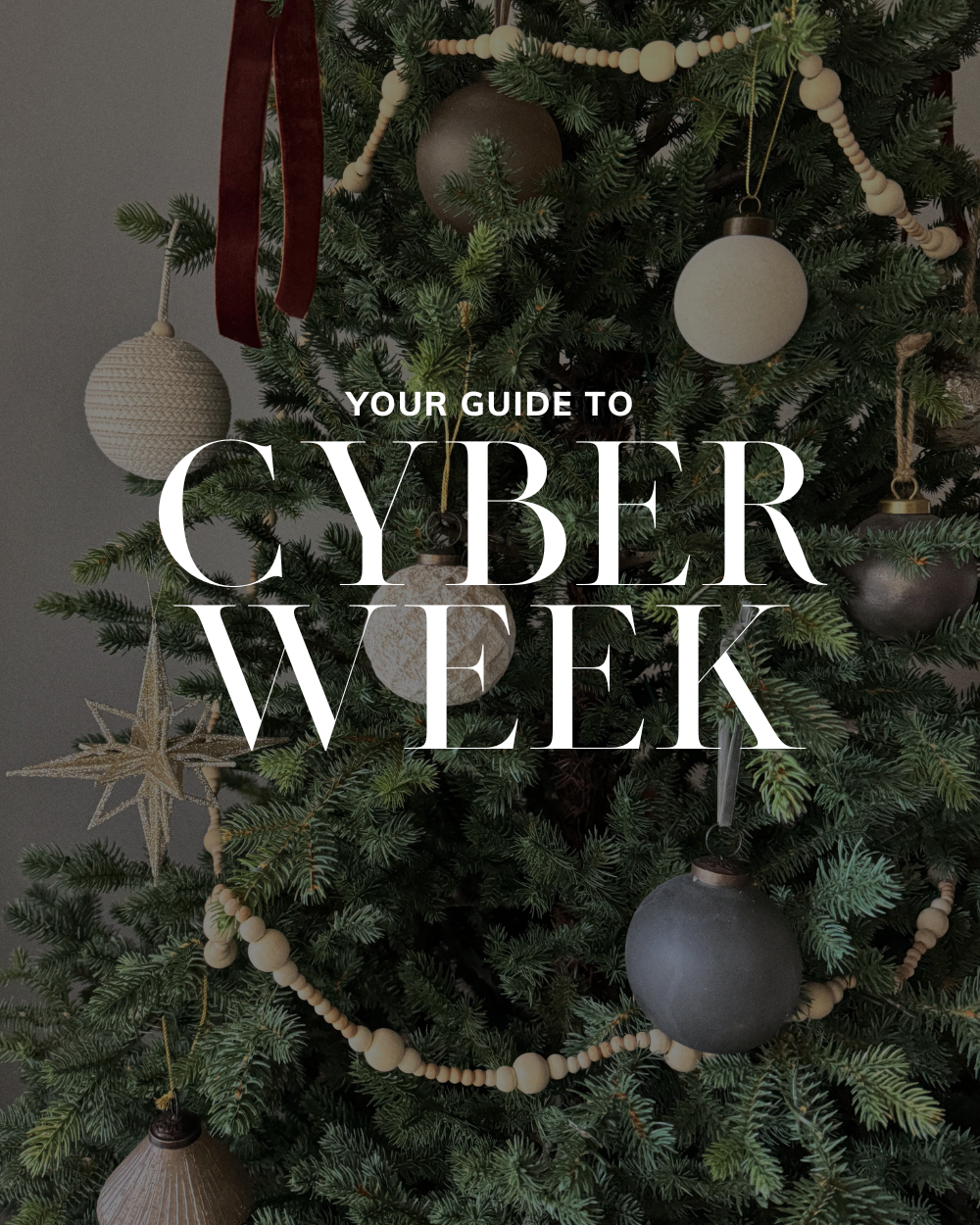 Cyber Week 2023